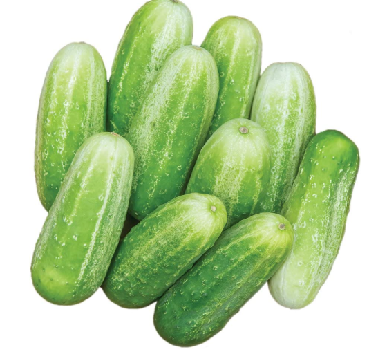 Cucumber Desi (देसी खीरा)