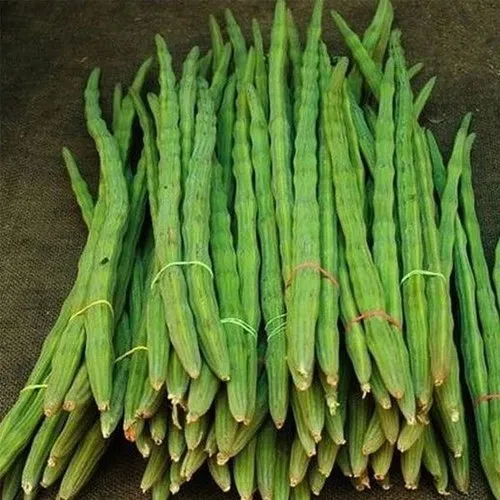 Drumstick (सहजन फली)